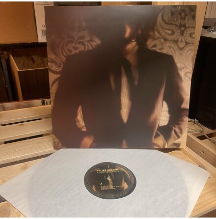 Valter Nilsson - Alcoholic Vervet Monkeys LP (2013, p� engelska)